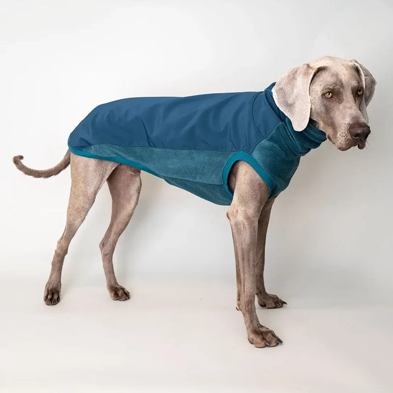 Softshell Hundepullover "Smart" - Petrol