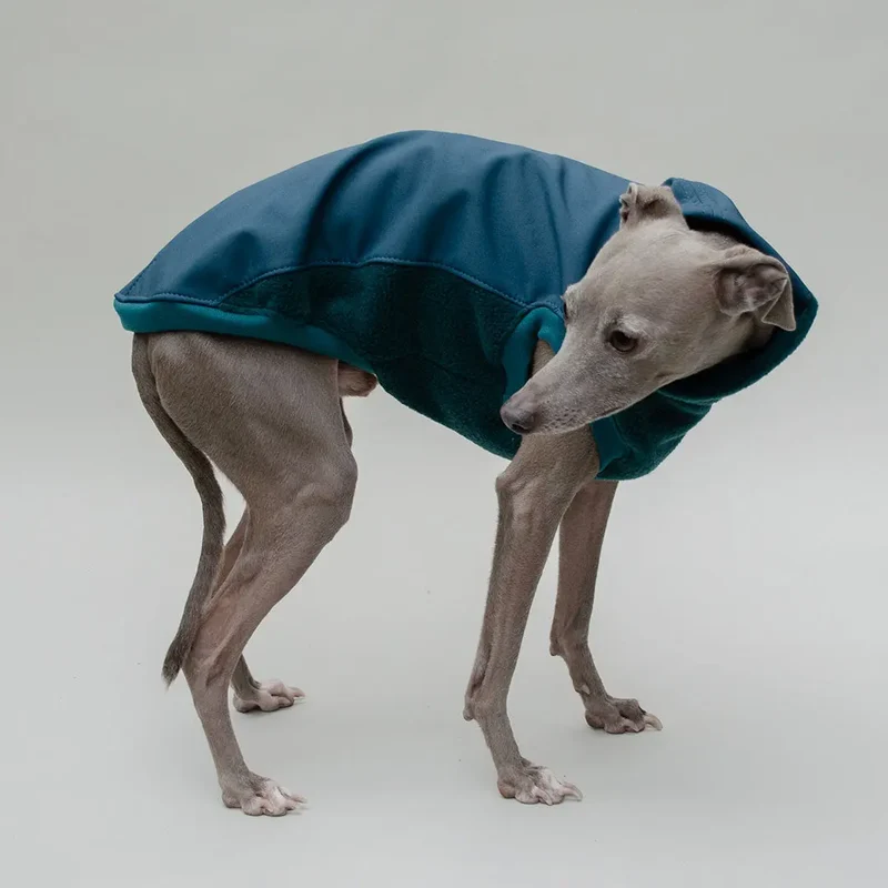 Softshell Hundepullover "Smart" - Petrol