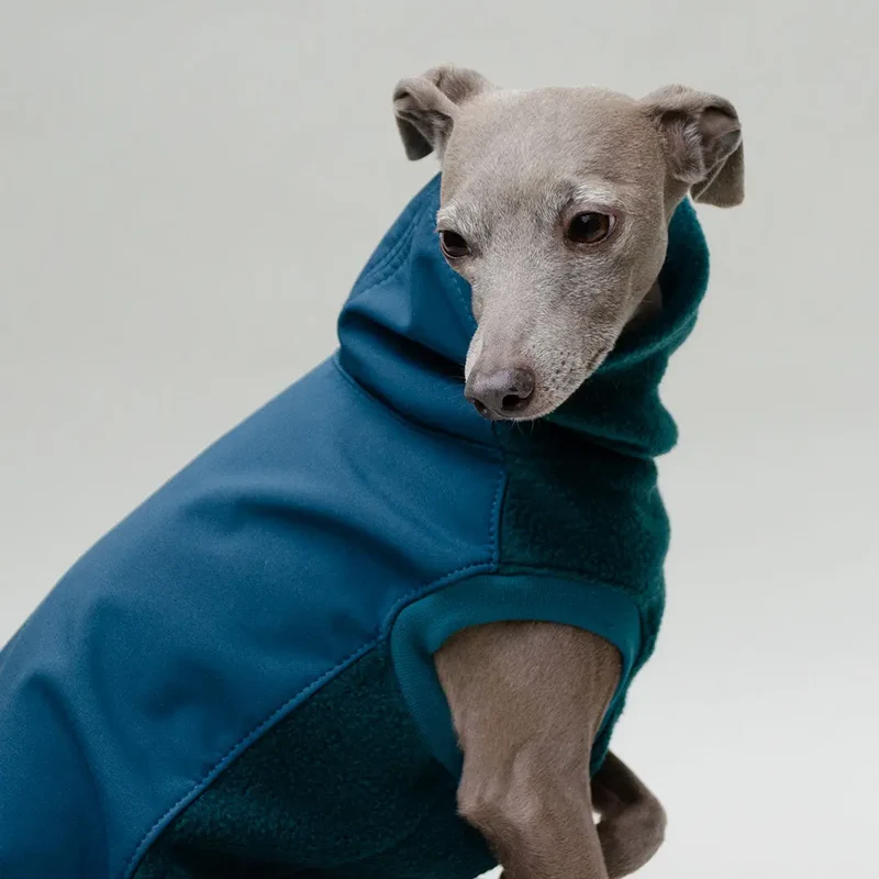 Softshell Hundepullover "Smart" - Petrol