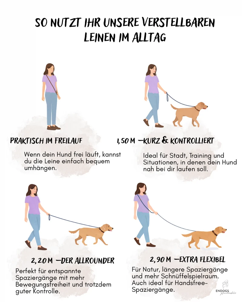 Lederleine | Flieder