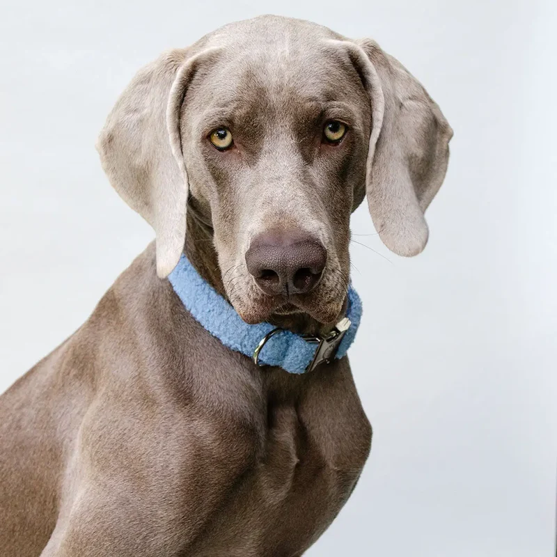Kuscheliges Halsband „Teddybaer“ bleu