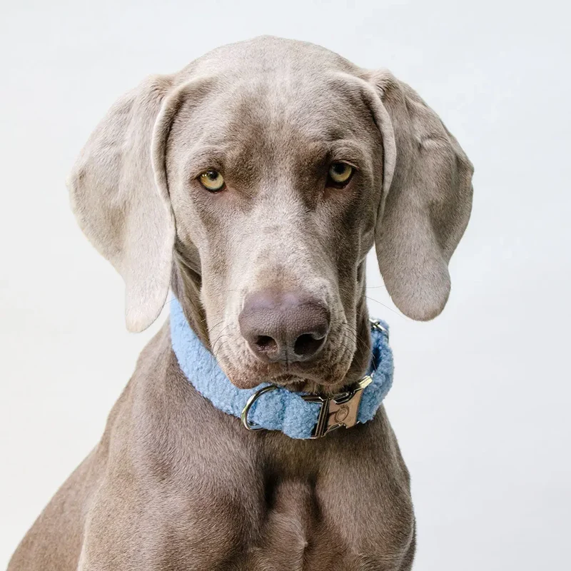 Kuscheliges Halsband „Teddybaer“ bleu