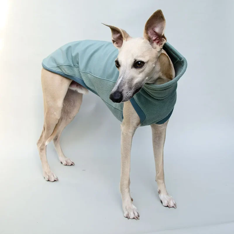 Softshell Hundepullover "Smart" - salbei