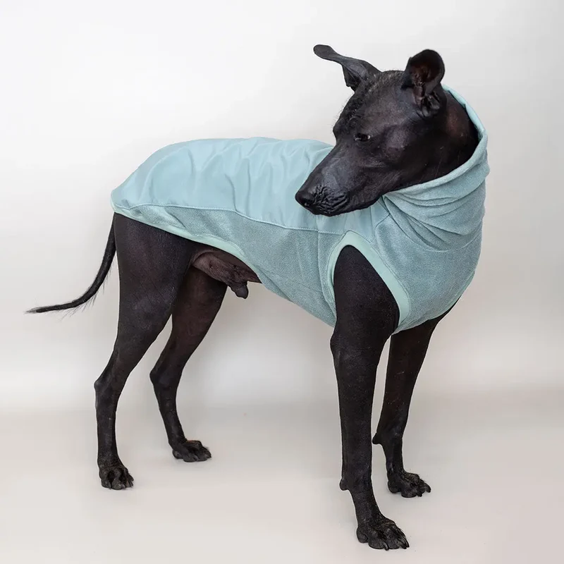 Softshell Hundepullover "Smart" - salbei