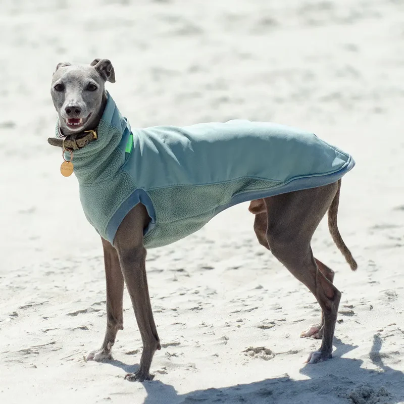 Softshell Hundepullover "Smart" - salbei