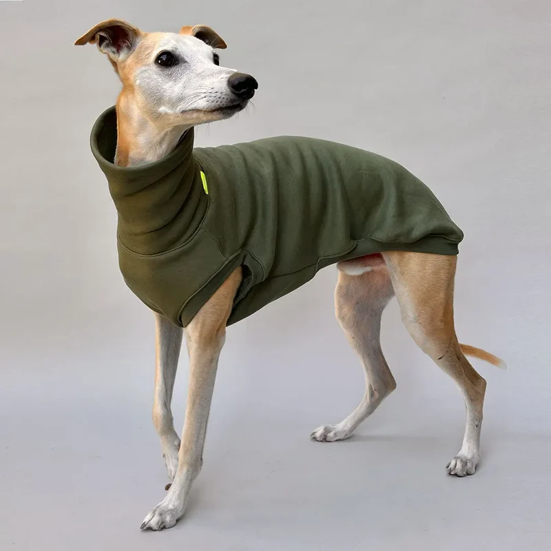 Hunde-Sweatshirt "COZY" - oliv