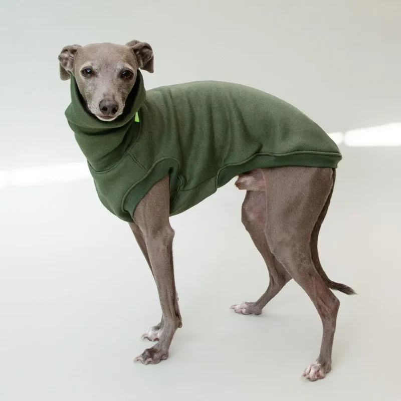 Hunde-Sweatshirt "COZY" - oliv