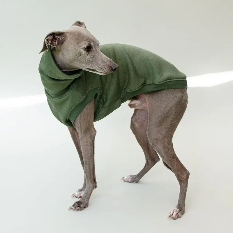 Hunde-Sweatshirt "COZY" - oliv