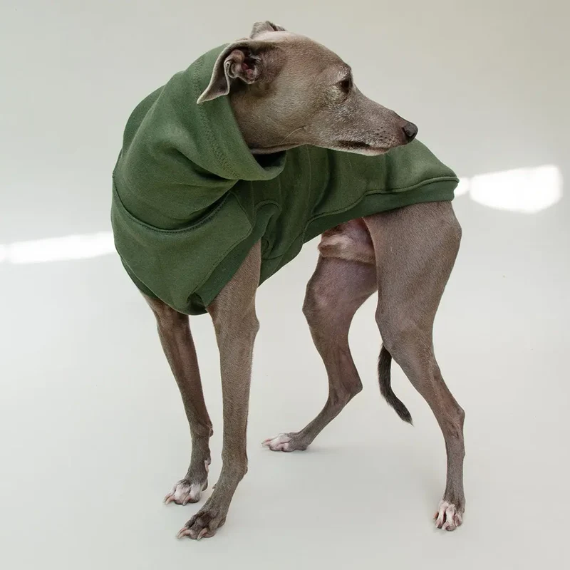Hunde-Sweatshirt "COZY" - oliv