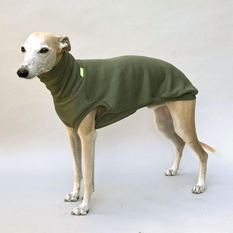 Hunde-Sweatshirt "COZY" - oliv