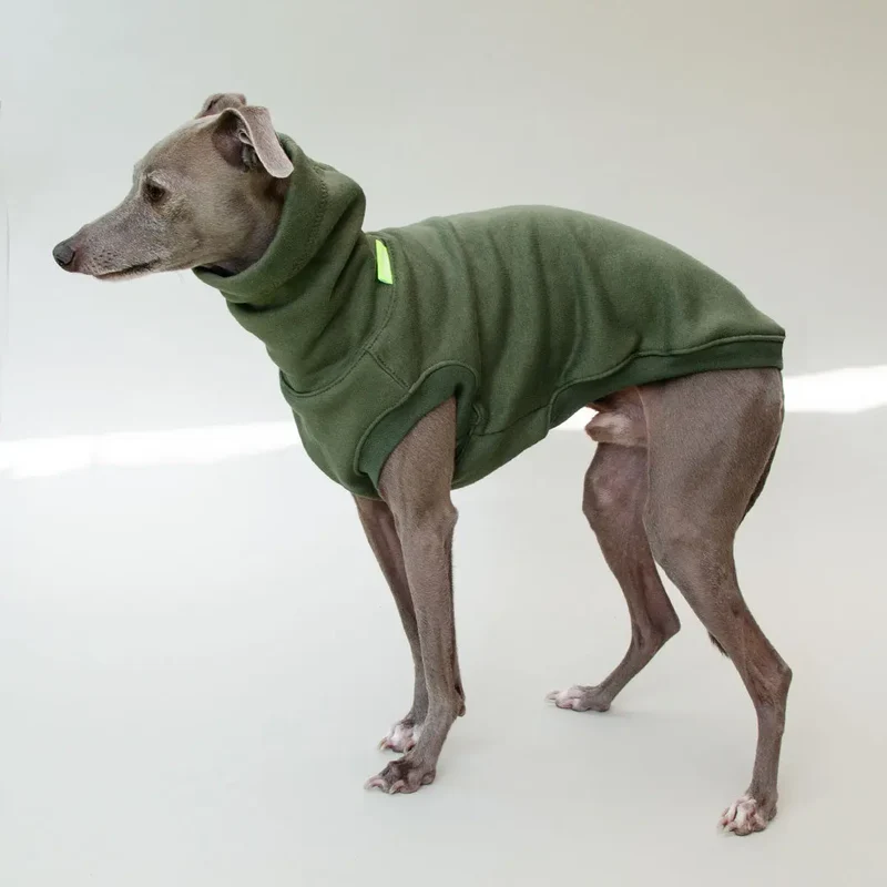Hunde-Sweatshirt "COZY" - oliv