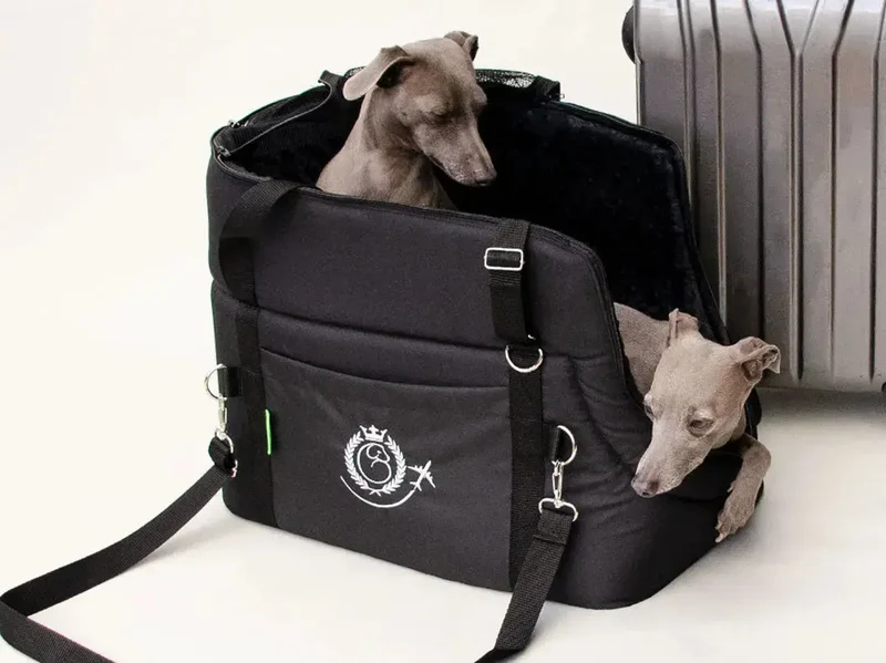 Hundeflugtasche AIR Custom
