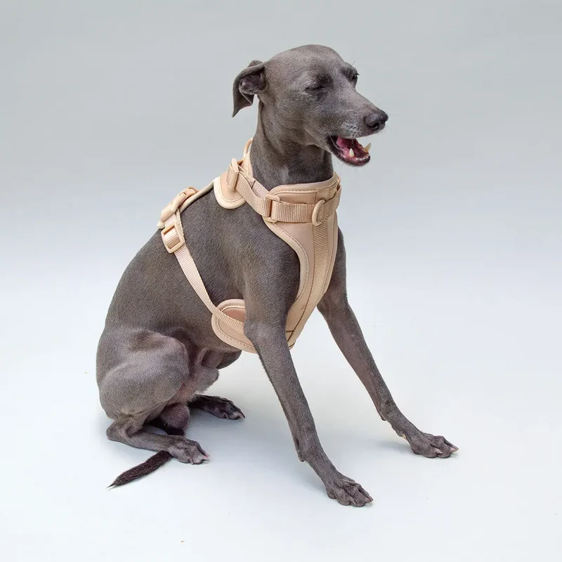 "Soft & Safe" Hundegeschirr - Nude