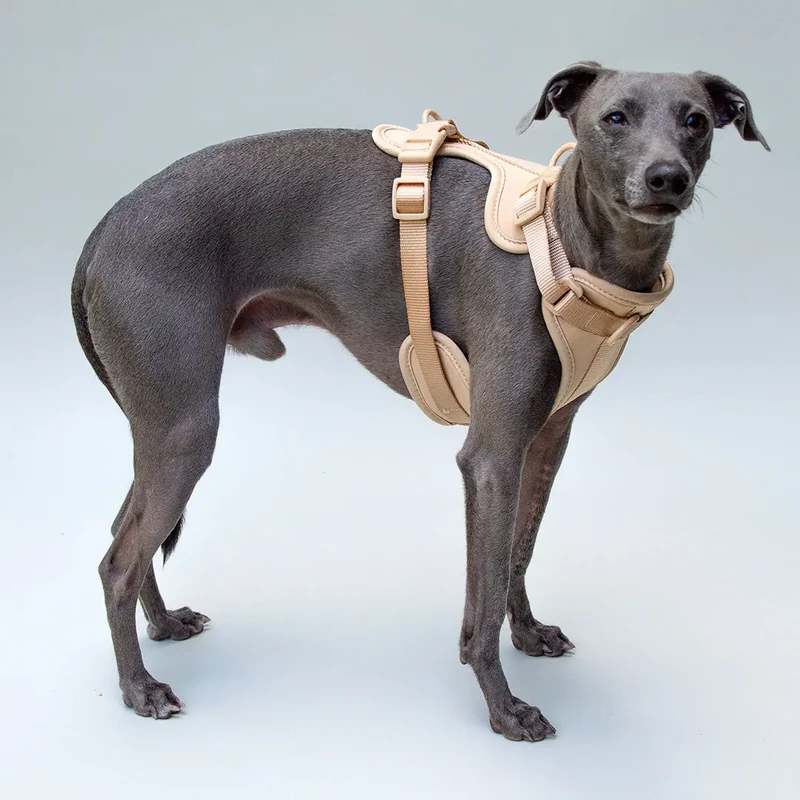 "Soft & Safe" Hundegeschirr - Nude