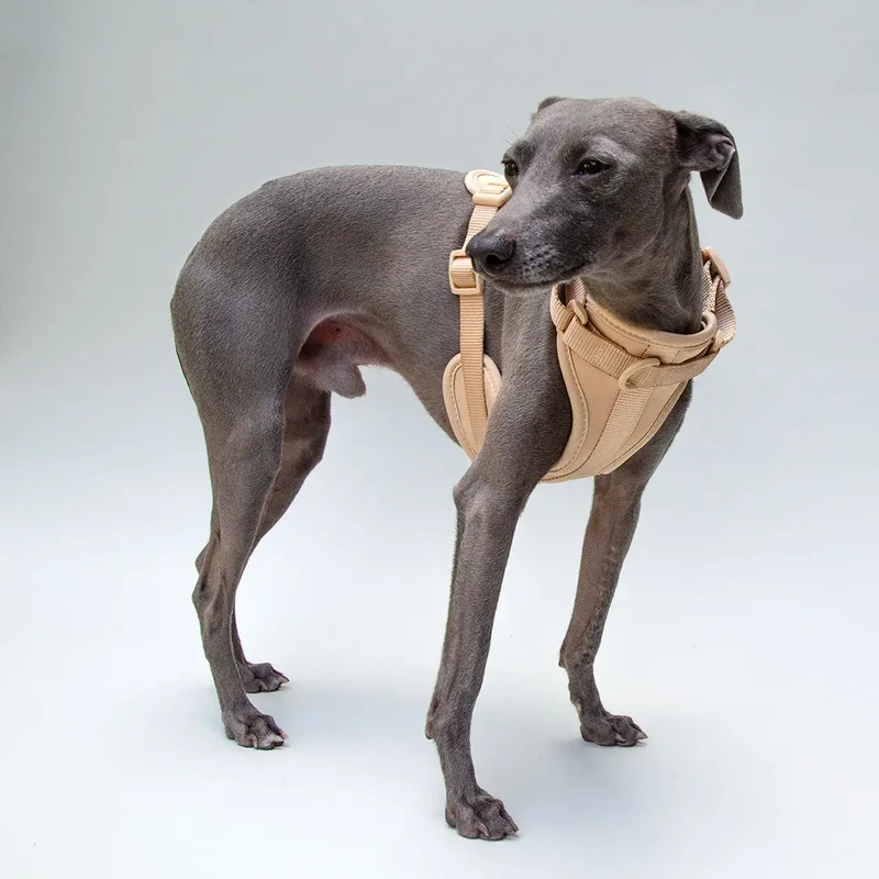 "Soft & Safe" Hundegeschirr - Nude
