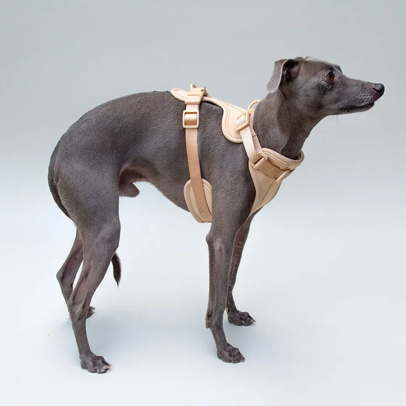 "Soft & Safe" Hundegeschirr - Nude