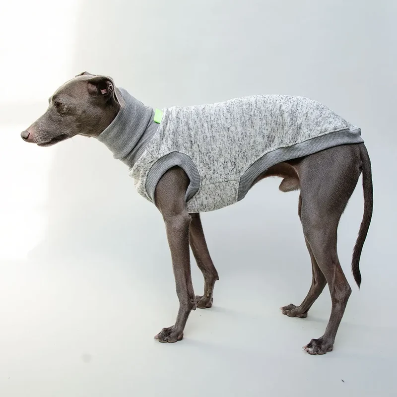 Hunde-Shirt "Super Dry" - hellgrau