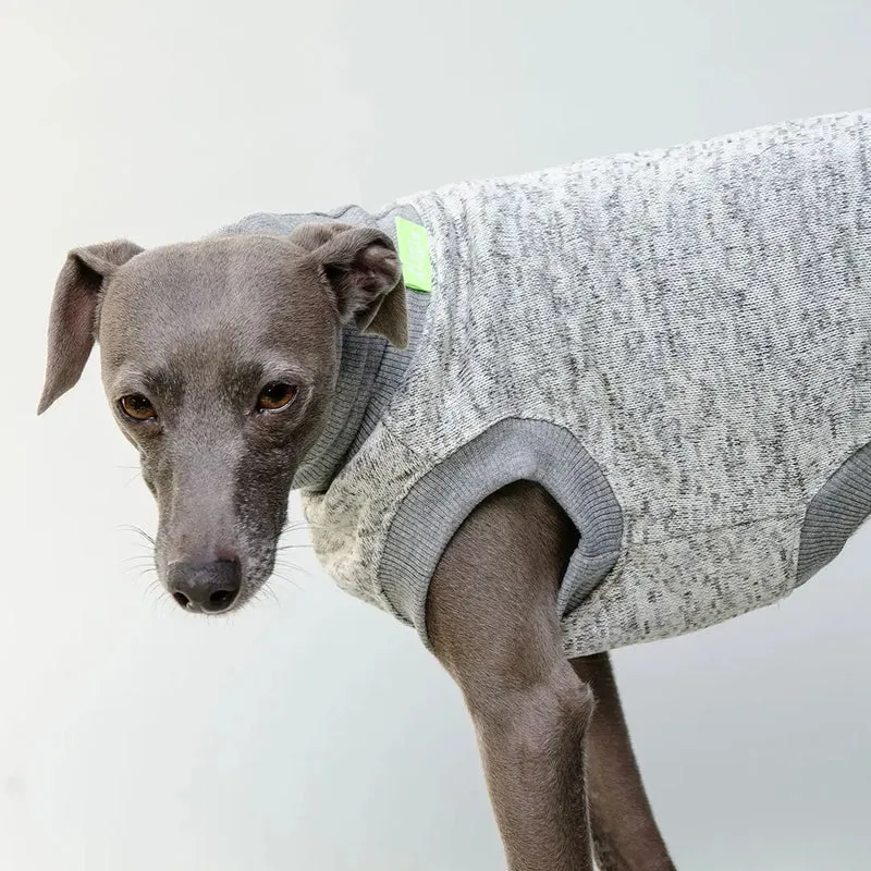 Hunde-Shirt "Super Dry" - hellgrau