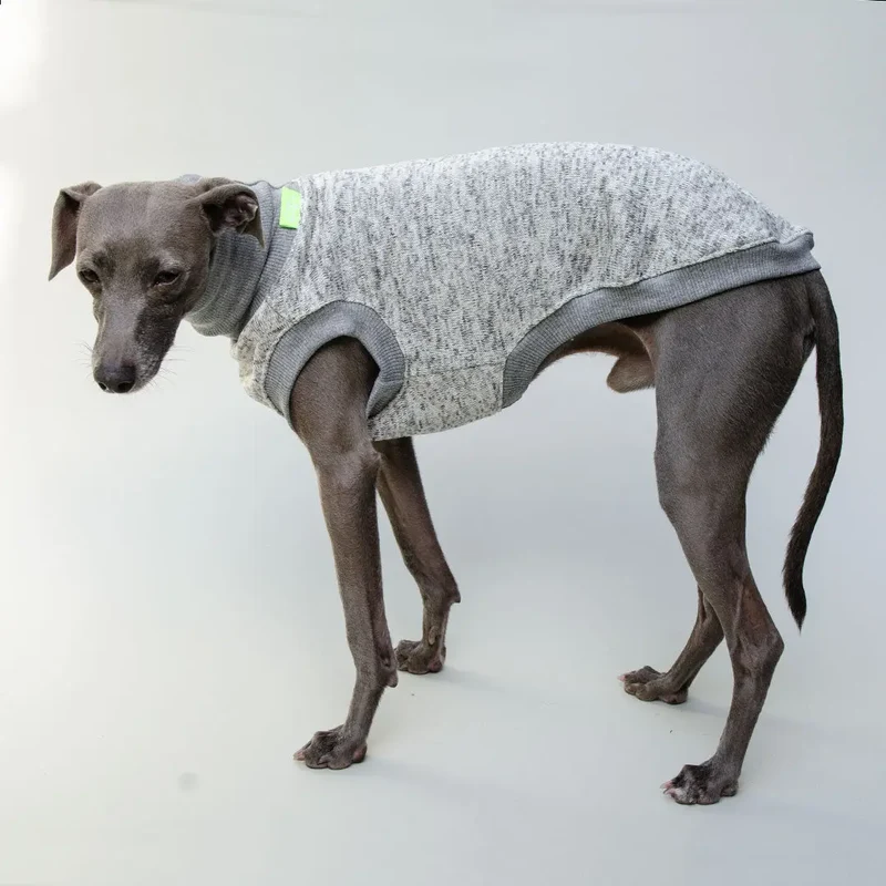 Hunde-Shirt "Super Dry" - hellgrau