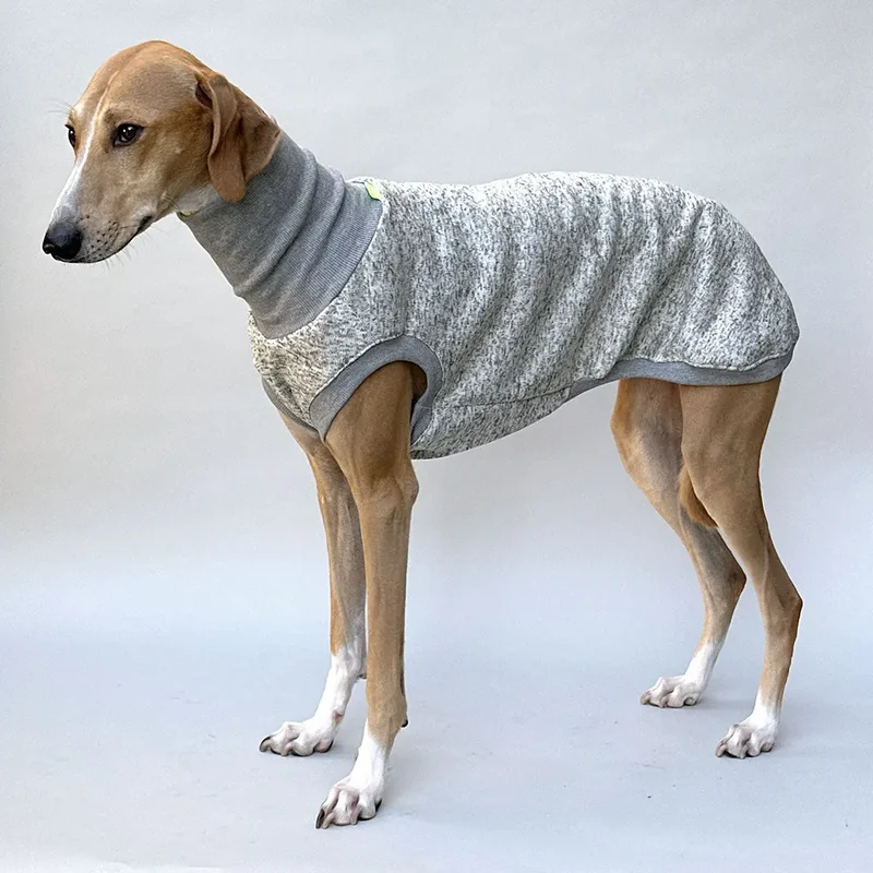 Hunde-Shirt "Super Dry" - hellgrau