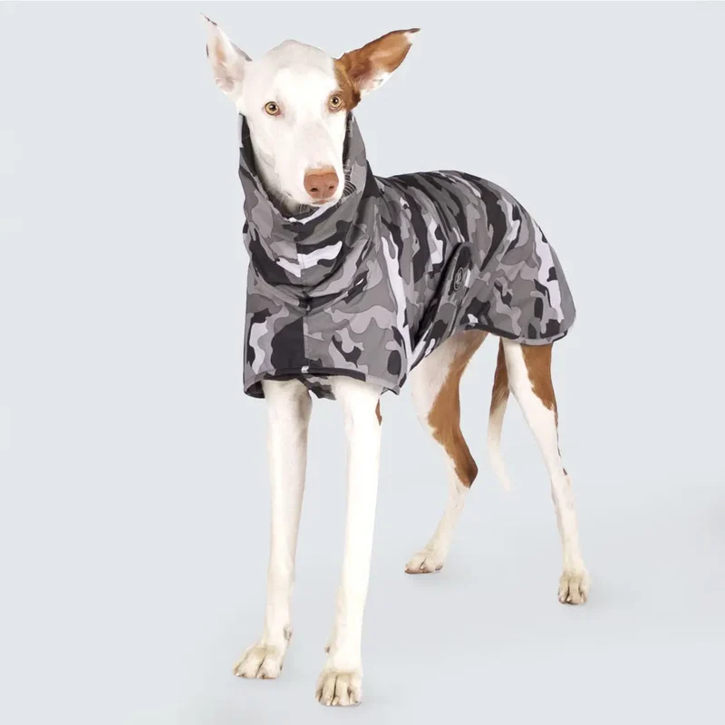 Light Snow - camouflage - SDW