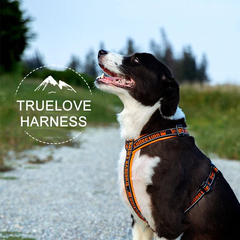 Sportliches Hundegeschirr "TRUE LOVE COLLECTION"