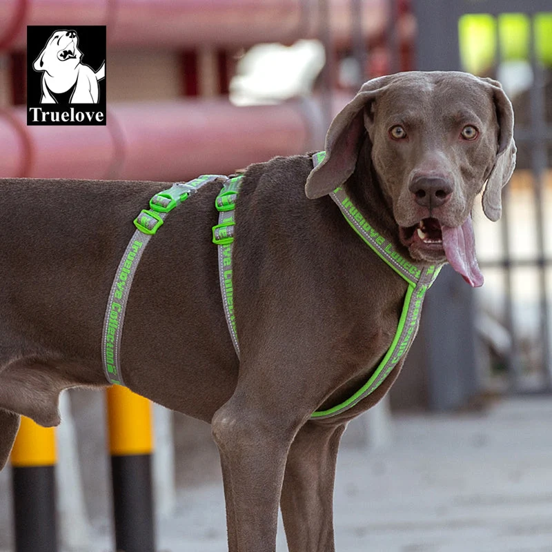 "TRUE LOVE COLLECTION" Sportliches Doppel-H-Hundegeschirr