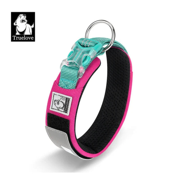Personalisierbares Hundehalsband