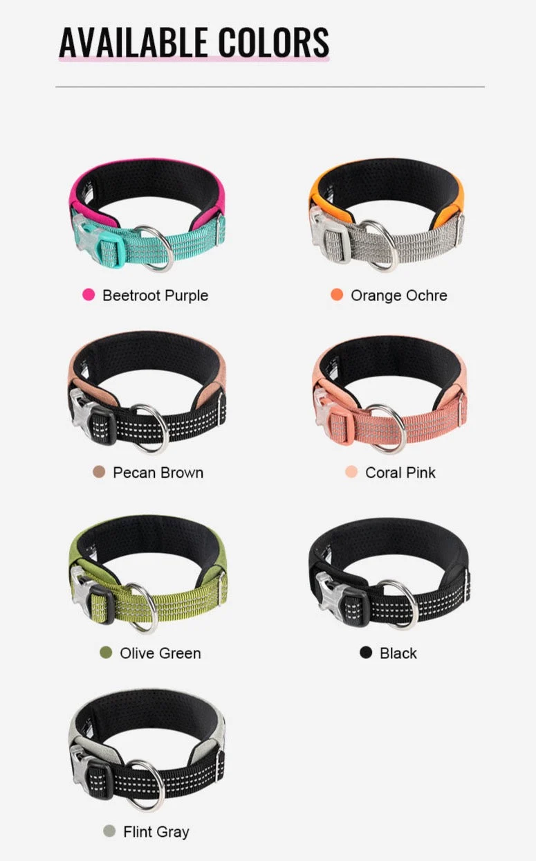 Personalisierbares Hundehalsband