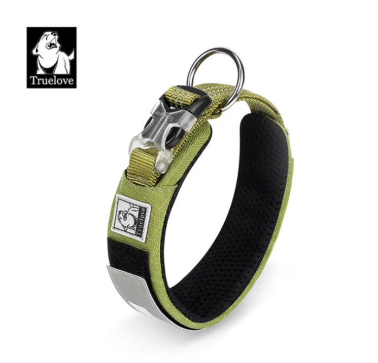 Personalisierbares Hundehalsband