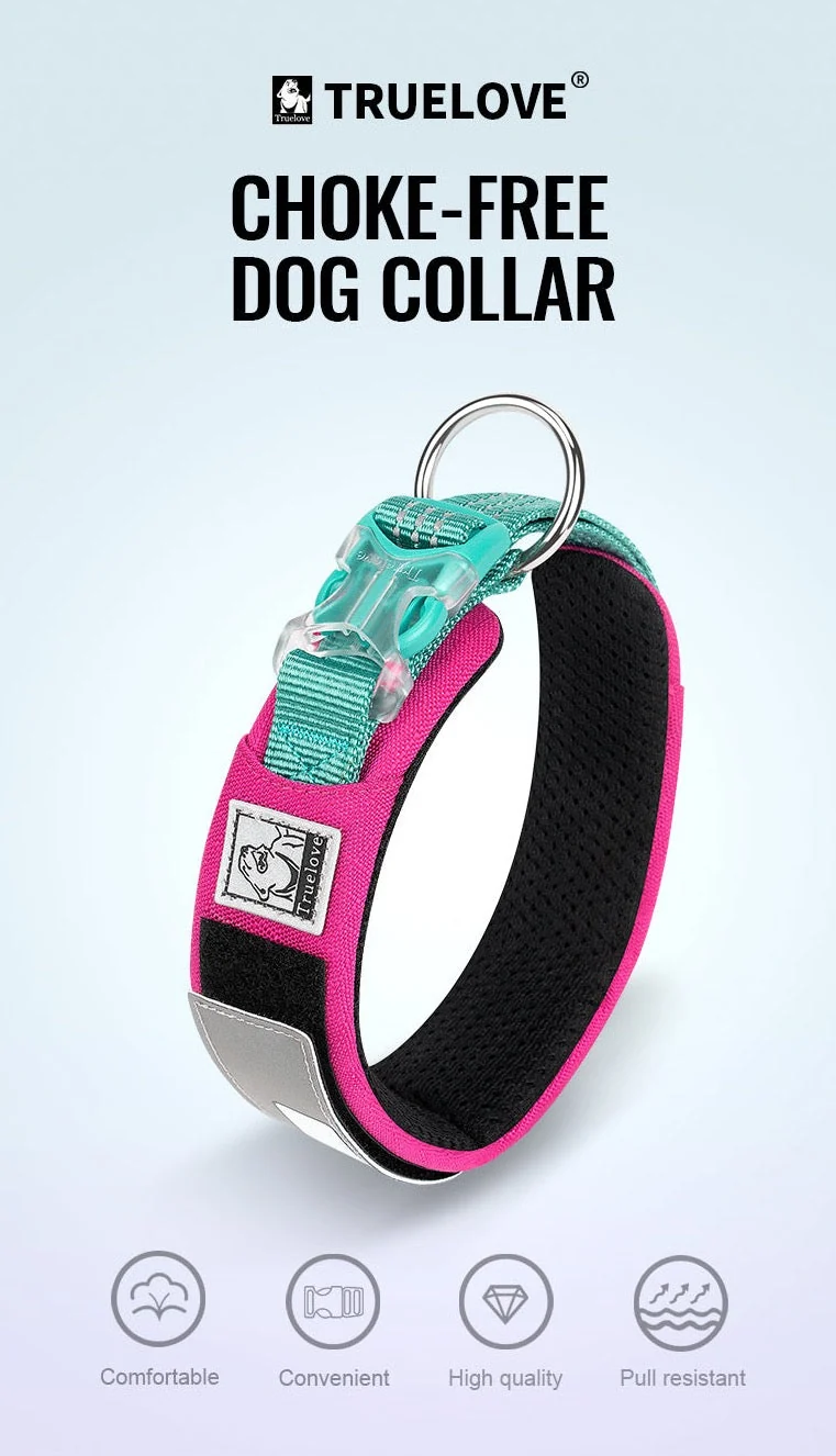 Personalisierbares Hundehalsband