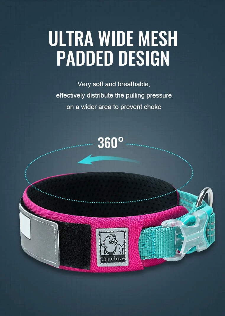 Personalisierbares Hundehalsband