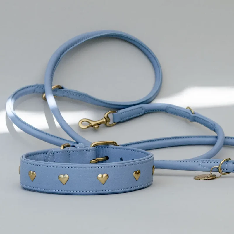 Lederhalsband mit Polsterung "Heart of Gold" - bleu