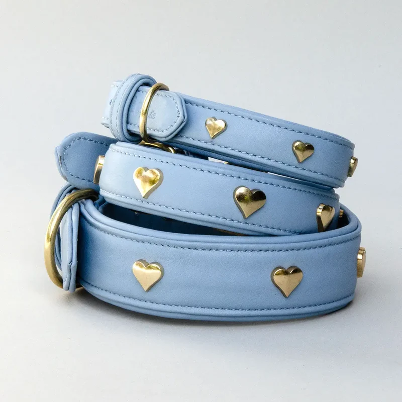 Lederhalsband mit Polsterung "Heart of Gold" - bleu
