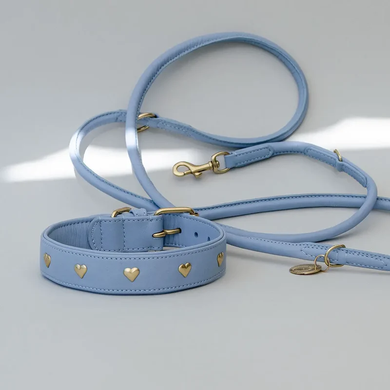 Lederhalsband mit Polsterung "Heart of Gold" - bleu