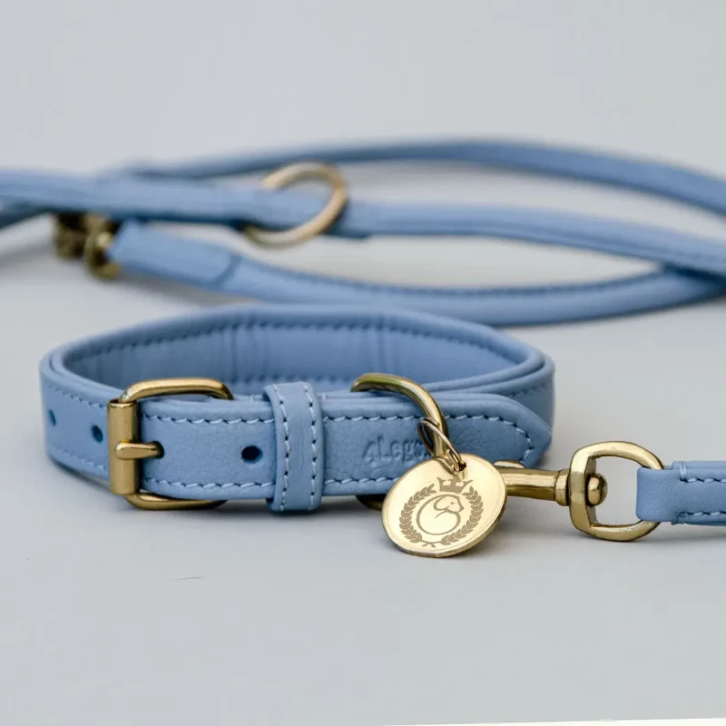 Lederhalsband mit Polsterung "Heart of Gold" - bleu