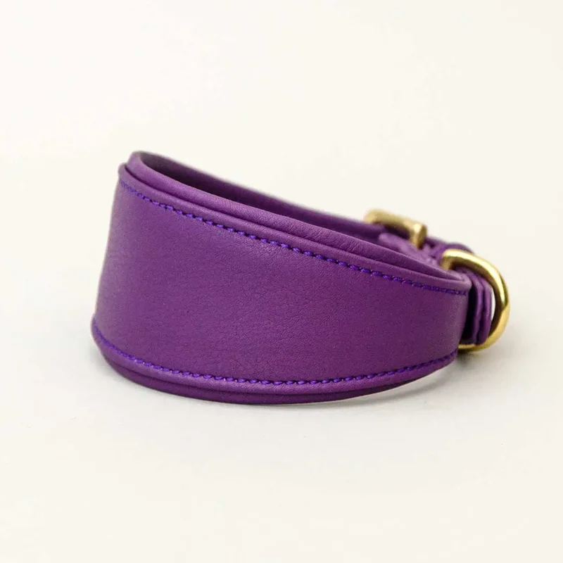 Windhund-Lederhalsband "Eden" - Lila
