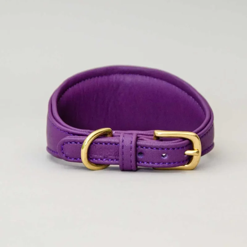 Windhund-Lederhalsband "Eden" - Lila