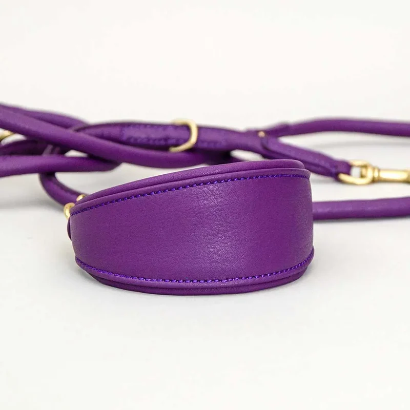 Windhund-Lederhalsband "Eden" - Lila