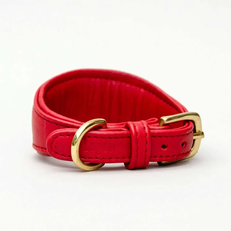Windhund-Lederhalsband "Eden" - Red