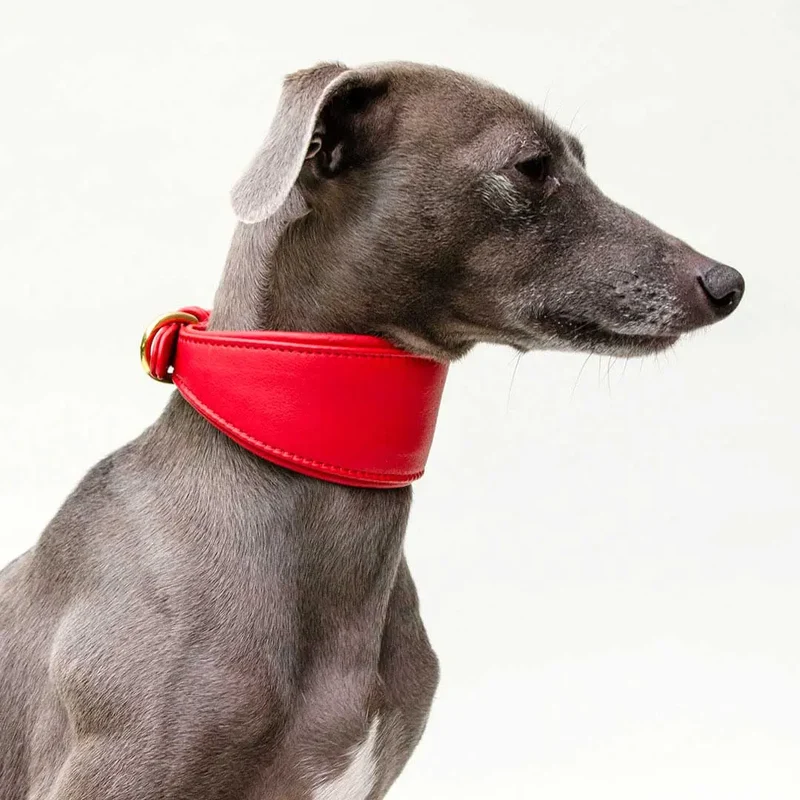 Windhund-Lederhalsband "Eden" - Red