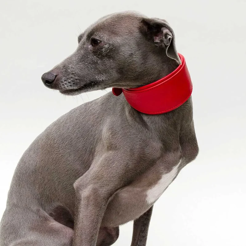 Windhund-Lederhalsband "Eden" - Red