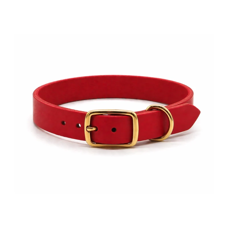 Personalisierbares schmales Halsband aus Fettleder | rot