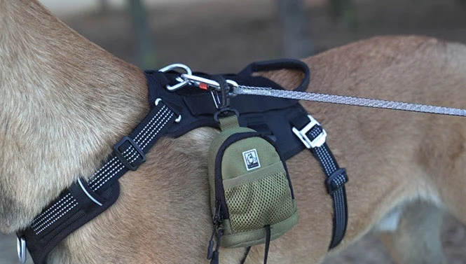 Hundekotbeutelspender "Dupont"