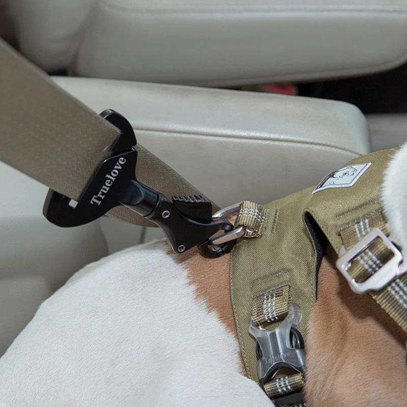 Sicher unterwegs: Der zuverlässige Auto-Sicherheitsgurt für Hunde