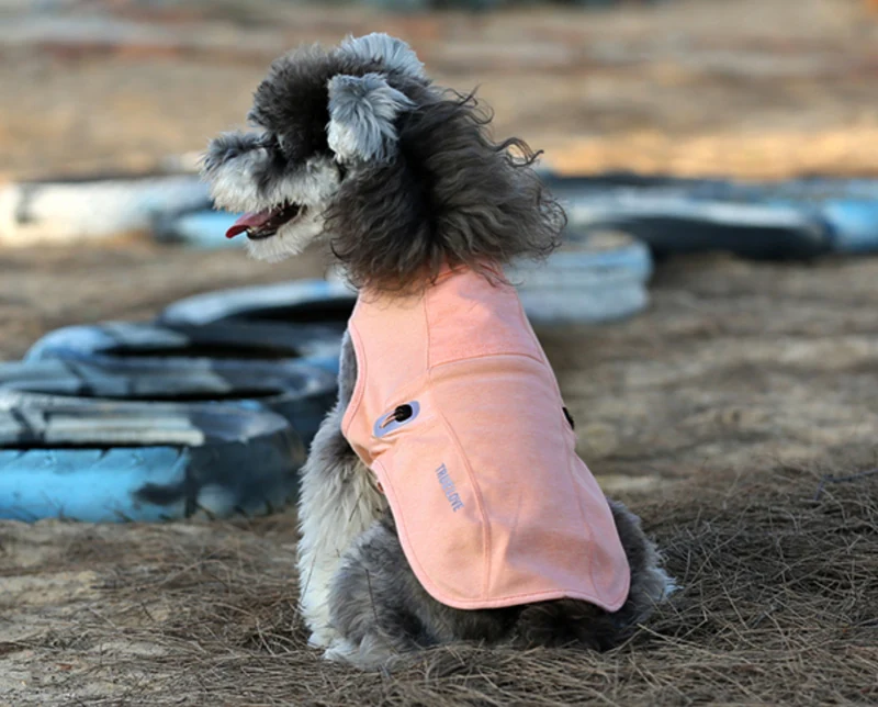 Hundeweste: sicher, atmungsaktiv und antibakteriell