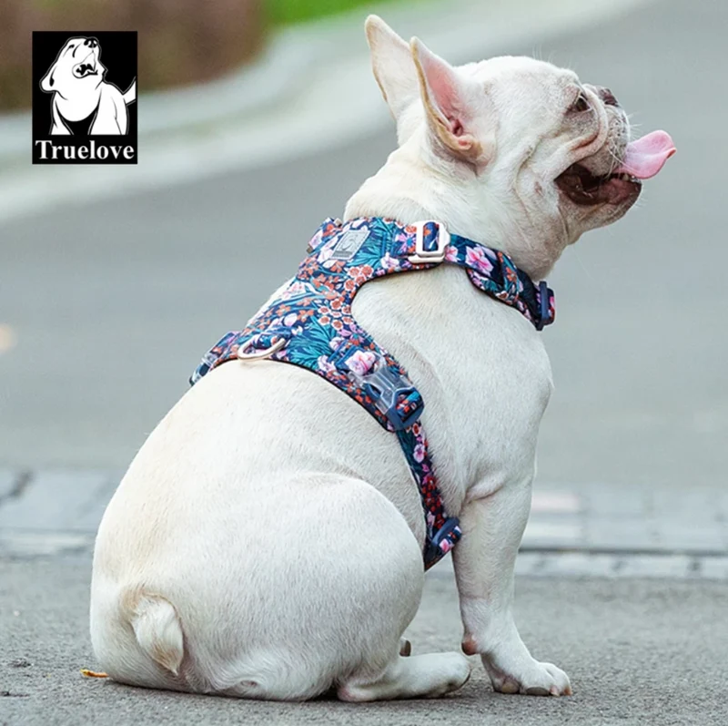 Premium Hundegeschirr "NAVY BLAZER" Flower Spring 2.0 Limited Edition