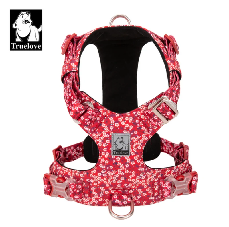 Premium Hundegeschirr "SAXONY BLUE" Flower Spring 2.0 Limited Edition