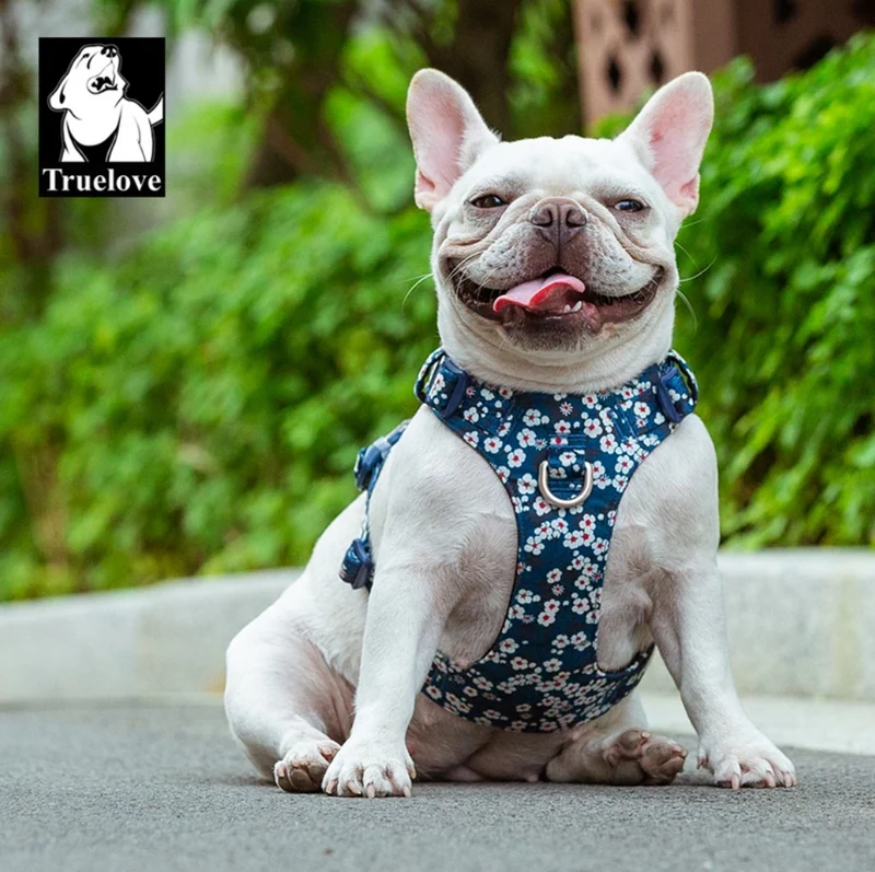 Premium Hundegeschirr "SAXONY BLUE" Flower Spring 2.0 Limited Edition
