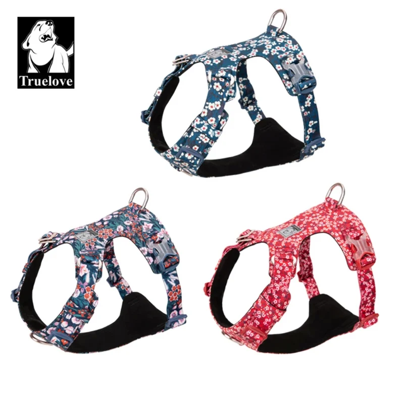 Premium Hundegeschirr "SAXONY BLUE" Flower Spring 2.0 Limited Edition